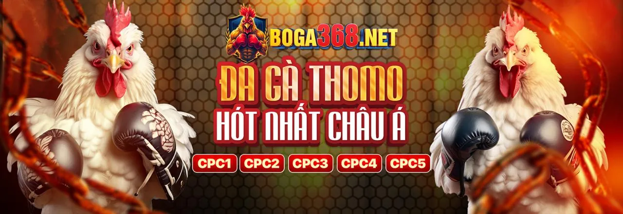 Hình ảnh Mã Okking mang đến ưu đãi độc quyền