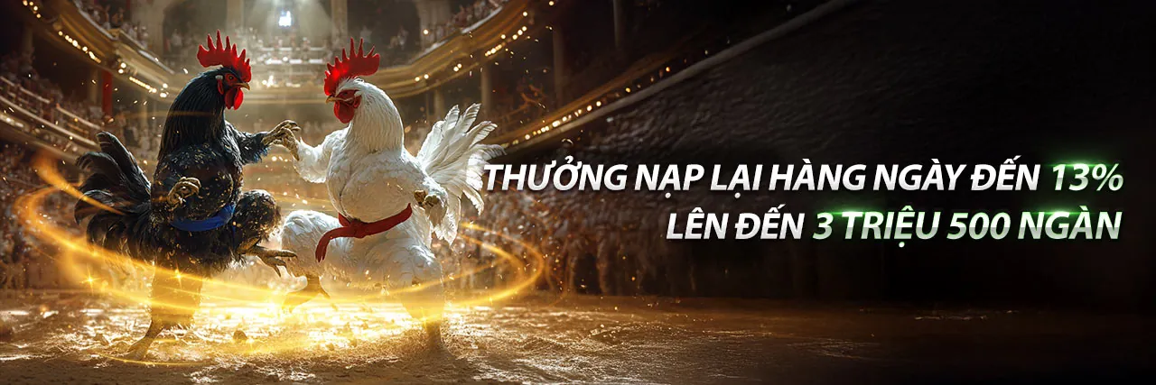 Hình ảnh giới thiệu Mã Okking, nền tảng cá cược trực tuyến chuyên nghiệp