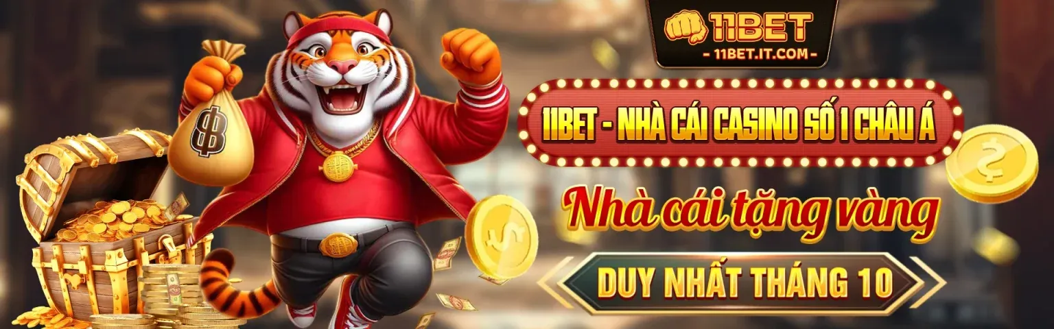 Hình ảnh Đối tác okking code