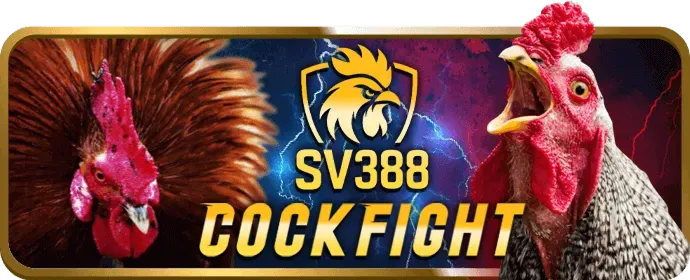 Ưu đãi khủng okking code